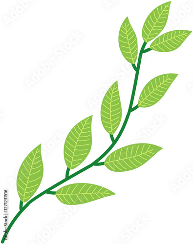 green leaves isolated on white background