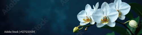 White orchid branches with lush foliage on a dark blue background, naturalistic, botanical, dark blue, white orchids