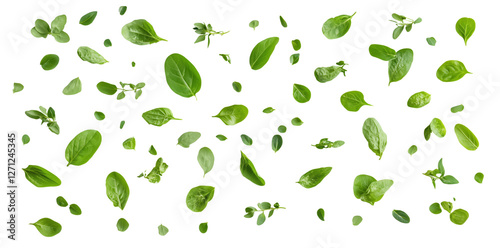 Fresh green leaves scattered on transparency background, showcasing various shapes and sizes, perfect for culinary or design use. Isolated on Transparent Background