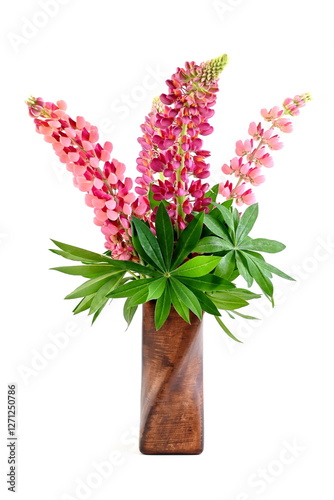 Pink Lupinus,  lupine flowers in vase isolated on white background.
