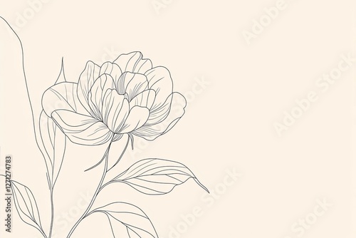 Peony flower and leaves line drawing. Hand drawn outline floral set.