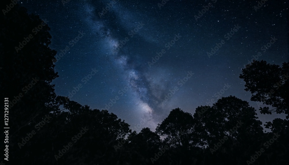 Night Sky and Trees.