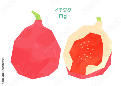 いちじくのイラスト　水彩風