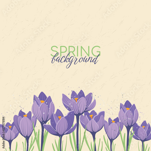 Spring Background With Place For Text With First Flowers Crocuses Template for social media, greeting card for Mother's Day, March 8. Vector