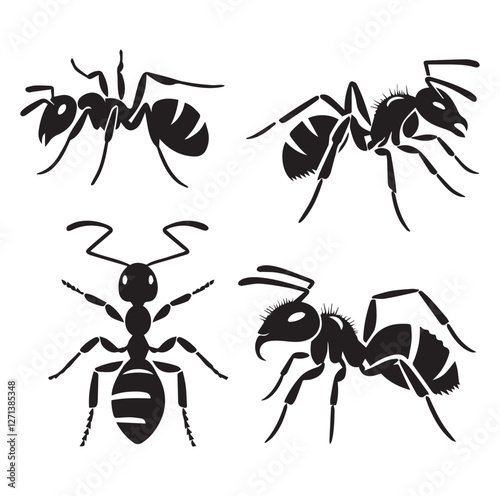 Ant set vector