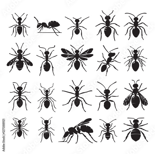 Ant set vector