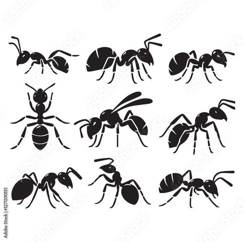 Ant set vector
