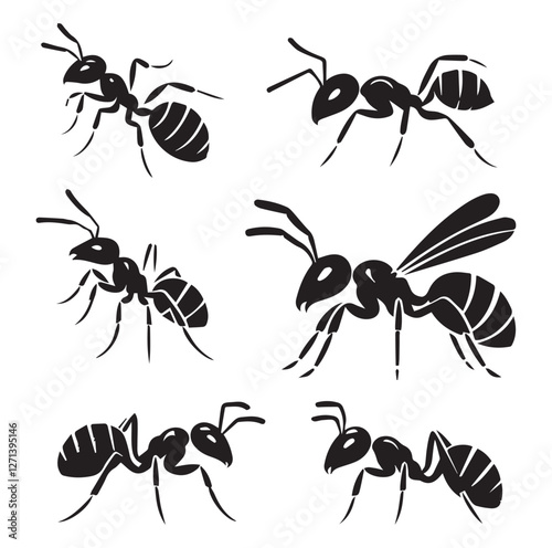 Ant set vector