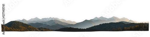 Panoramic Mountains with snow and forest isolated on white background