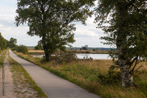 Straigth cycling path in Dwingelderveld National Park, Drenthe, Netherlands photo