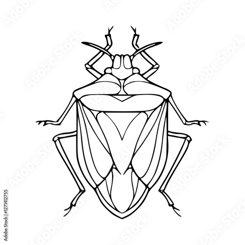 a black and white drawing of a majestic shield bug, vector graphic for nature design