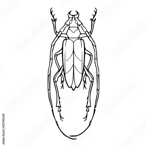 a black and white drawing of a majestic longhorn beetle, vector graphic for nature design