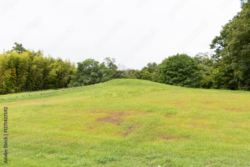 馬見丘陵公園の広々とした草原 馬見丘陵公園の広々とした草原