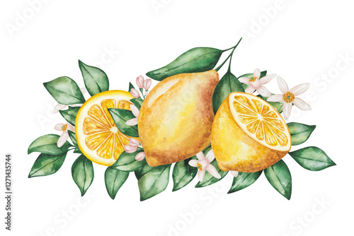 Watercolor illustration. Hand painted lemons with green leaves, flowers, branches. Cut in half, sliced lemons. Tropical citrus fruits. Fresh juice ingredient. Vitamin C. Isolated food clip art