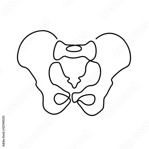 line art pelvis bone