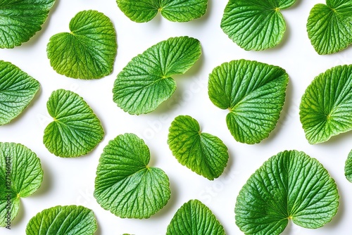 Adorable Green Strawberry Leaves on Pristine White: Perfect for Springtime Designs, Food Blogs, Packaging, and Fresh Produce Branding. High-resolution image ideal for websites, social media, and      