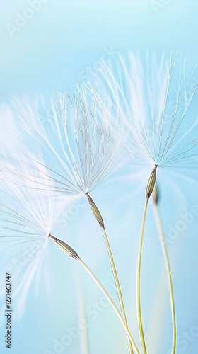 Close-Up of Delicate Dandelion Seeds with Soft Blue Background