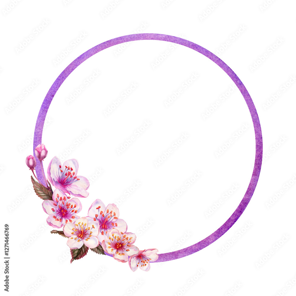 Round frame with sakura flowers isolated on a white background. Spring blooming cherry blossom flowers for Hanami festival. Delicate shades of pink, lilac, purple petals. Watercolor template for card
