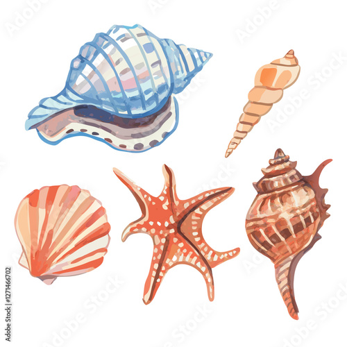 Watercolor shell starfish cockleshells decorative vector  illustration
