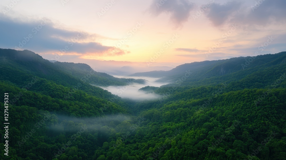Fototapeta premium A serene landscape showcasing a misty valley surrounded by lush green hills under a beautiful sunrise.