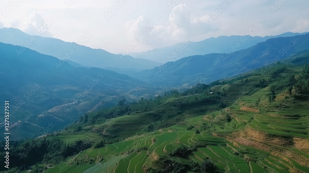 Naklejka premium Panoramic view of terraced rice fields and mountains.