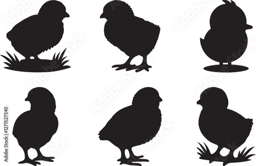 set of chicks silhouette design vector art illustration