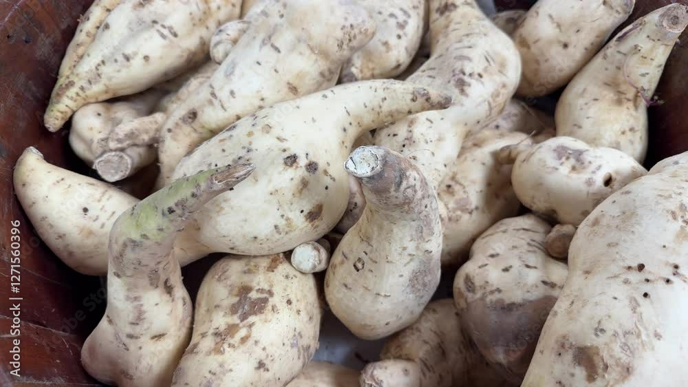 Choosing white sweet potatoes at the market. Choosing white sweet potatoes at the market.