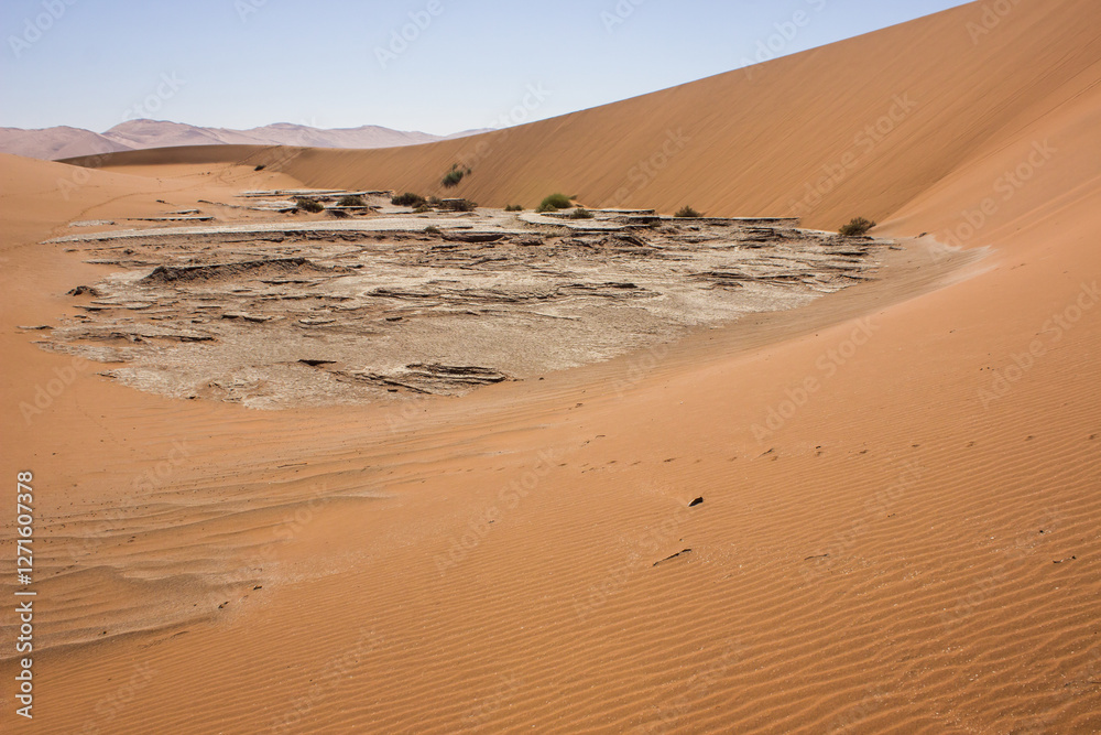 Dried up white mud pans among the high red dunes of Sossusvlei in the great Namib Sand sea in Namibia. Dried up white mud pans among the high red dunes of Sossusvlei in the great Namib Sand sea in Namibia.
