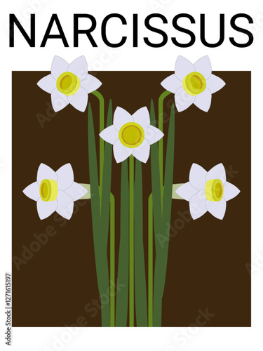 POSTER NARCISSUS