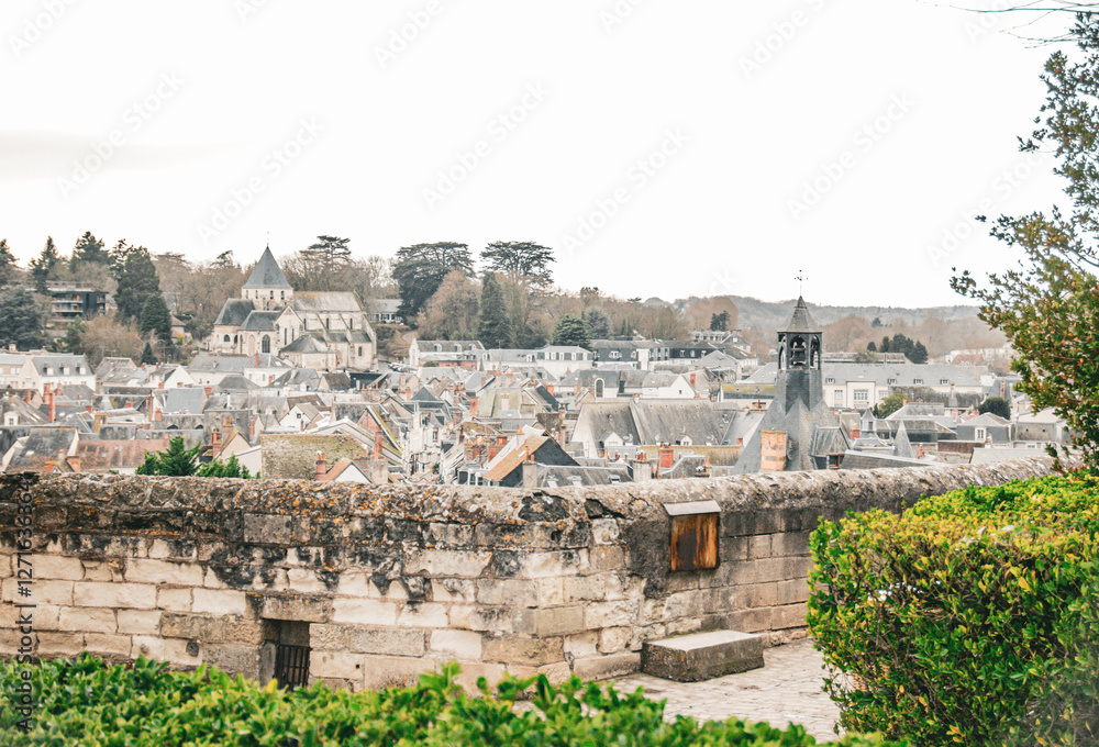 Εκτύπωση καμβά View of Amboise in France
