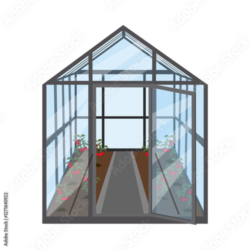 Garden greenhouse with bushes of ripe red tomatoes. Greenhouse frame made of glass. Isolated vector illustration on white background.