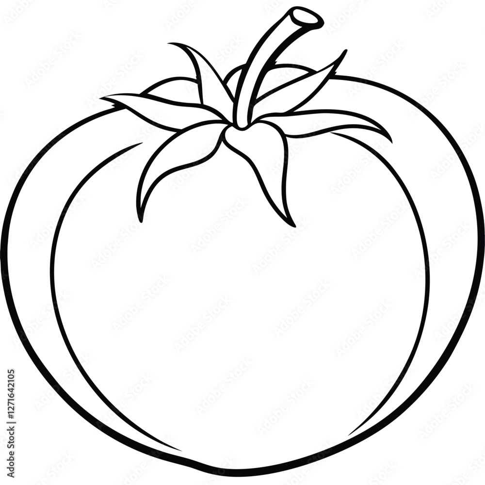 tomato line art vector illustration, tomato on a white background. tomato line art vector illustration, tomato on a white background.