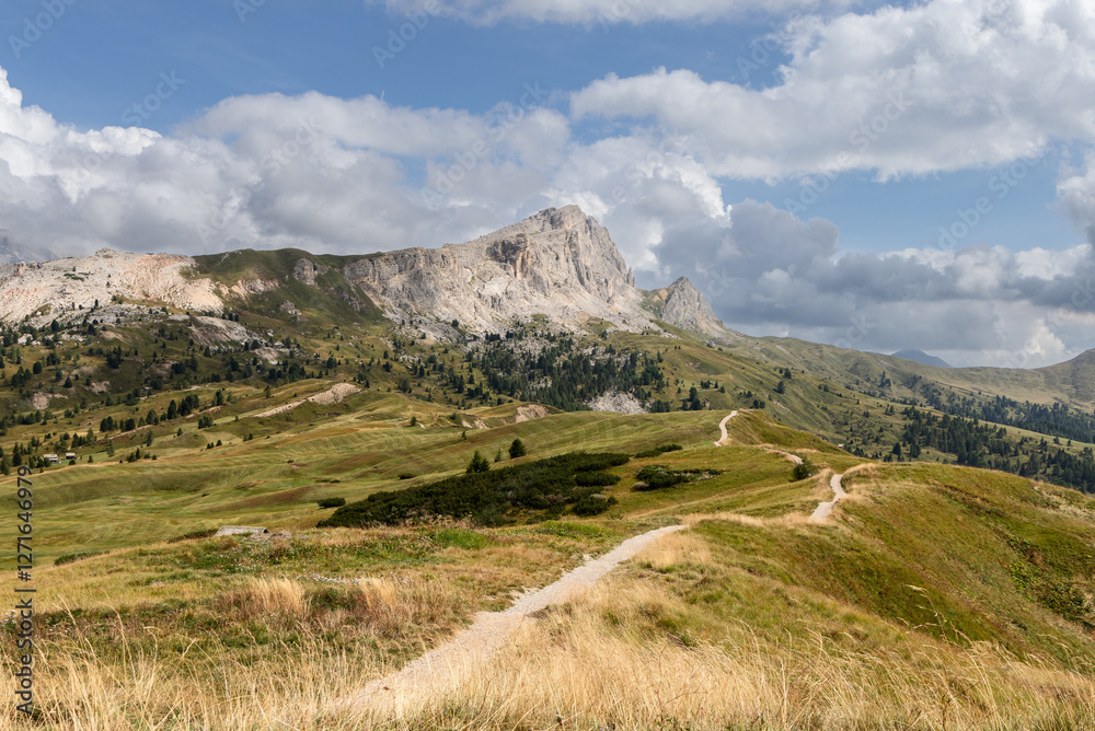 Fototapeta premium Scenic trail for hiking and mountain biking winds through autumn meadows on the Pralongia plateau in the Dolomite Alps, surrounded by rolling hills and rugged peaks