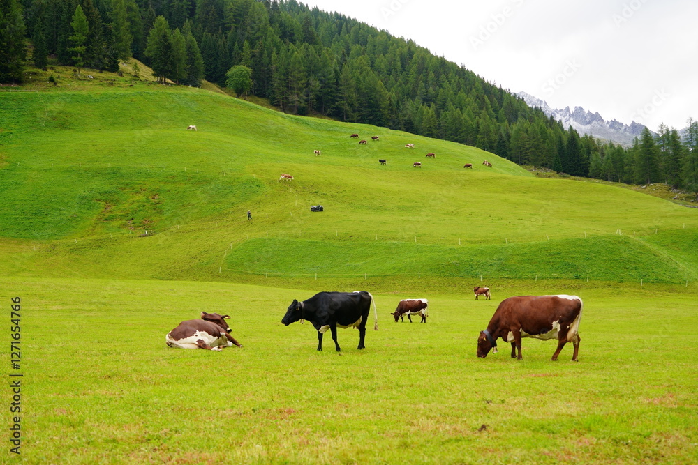 Valle Aurina or Ahrntal located in in northern Italy Valle Aurina or Ahrntal located in in northern Italy
