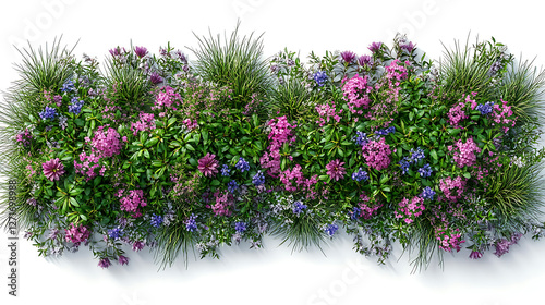 Isolated on transparent background, grass flower bed, top view. high resolution PNG file
