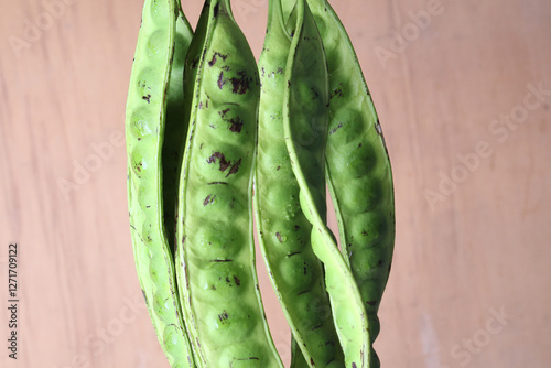 stinky bean. close up of green beans or peas. also known as Petai ( Parkia speciosa ) 