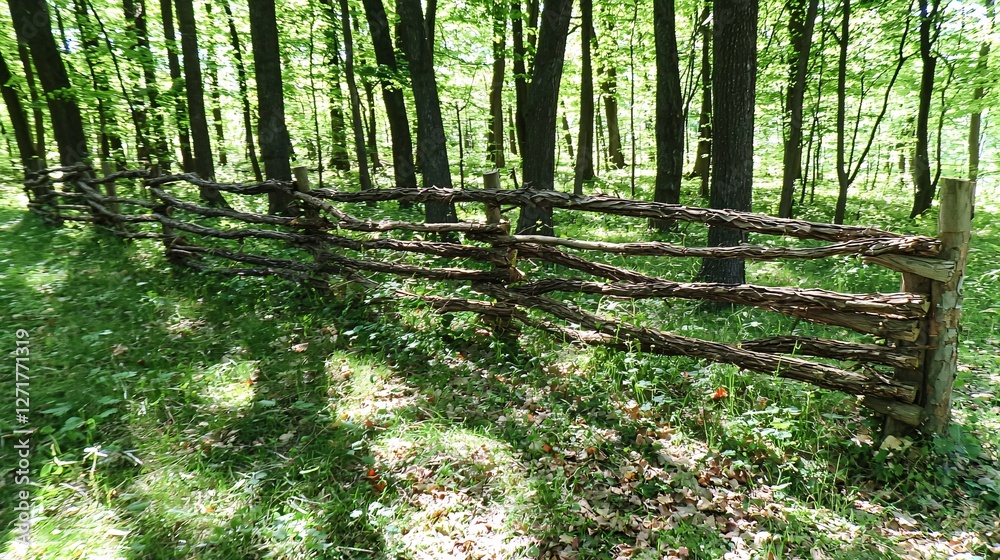 Obraz premium fence made from branches, encircling a peaceful clearing in the woods, with young saplings and a scattering of fallen leaves on the ground. fence, branches, forest clearing, secluded, trees, 