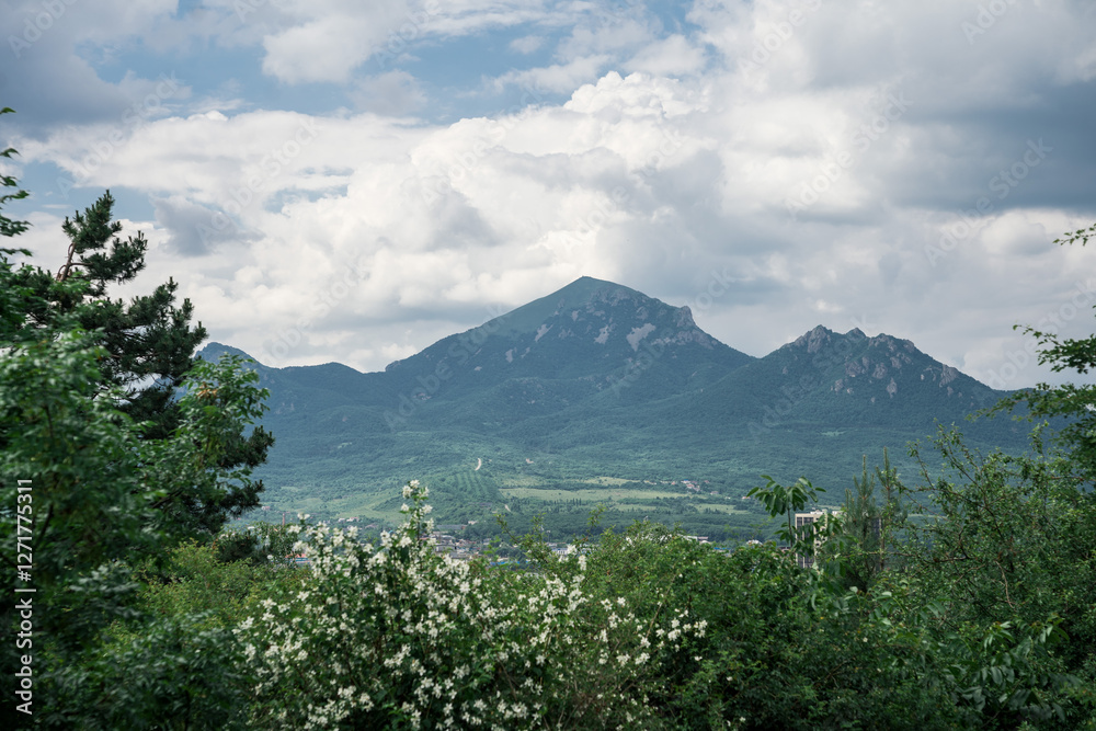 Fototapeta premium A landscape with a view of mountains covered with forest and a valley with a small settlement at the foot.