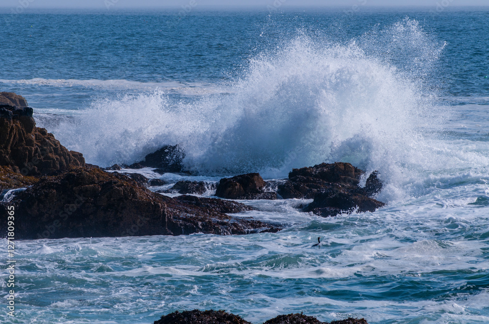 Obraz premium Waves Crashing Against The Shore Of Acadia National Park, Maine
