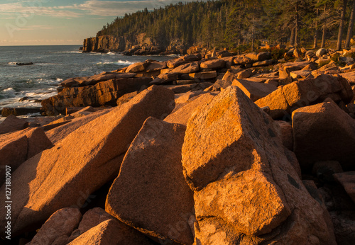 Rocky Coastline Near Otter Cliffs, Acadia National Park, Maine