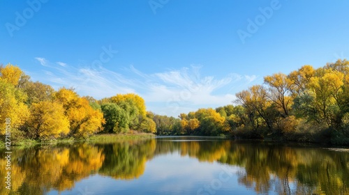 Autumn River Reflection in a Calm Forest