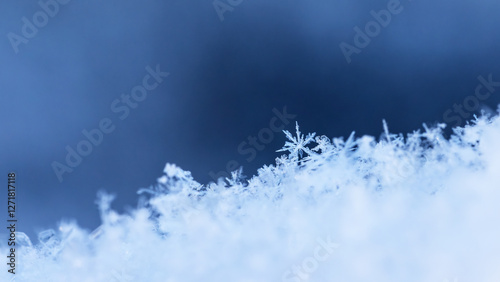 winter photo of snowflakes in the snow