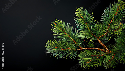 pine tree branches
