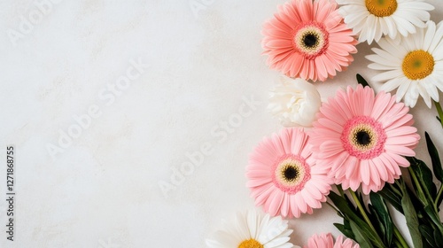 Elegant floral flat lay featuring pink and white gerbera daisies, gracefully positioned on a neutral background, open space allowing creative flexibility, ultra-realistic textures