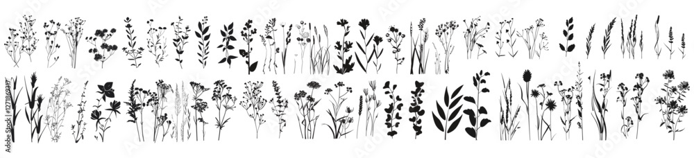 Fototapeta Big floral collections, vector illustration of black silhouettes, wildflowers, meadow herbs, floral backgrounds, wild grass, wreaths, floral elements, nature design, herbal motifs
