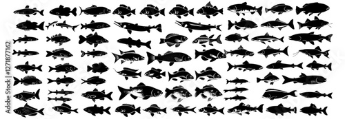 Freshwater fish silhouettes collection, vector fish design, aquatic life illustration, fish species shapes, marine creatures, vector art, fish illustrations, underwater life, nature fish graphics