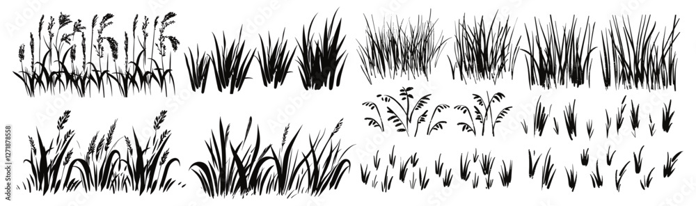 Grass doodle ink brush sketch set, hand drawn vector grass field texture, grunge brush background, organic herb elements, nature pattern, botanical sketch, doodle vegetation