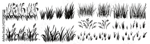 Grass doodle ink brush sketch set, hand drawn vector grass field texture, grunge brush background, organic herb elements, nature pattern, botanical sketch, doodle vegetation