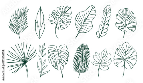 Monstera jungle foliage, outline tropic palm leaf, editable stroke, vector art, tropic tree leaves, continuous line illustration, floral element, exotic leaves, tropical design