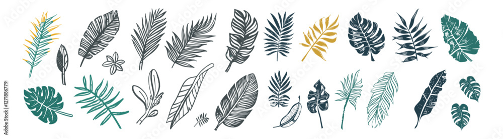 Crayon brush palm leaf vector, monstera foliage silhouette, hand drawn tropical jungle, black banana tree leaves, grunge texture, nature design elements, black leaf texture, Crayon brush palm leaf vector, monstera foliage silhouette, hand drawn tropical jungle, black banana tree leaves, grunge texture, nature design elements, black leaf texture,